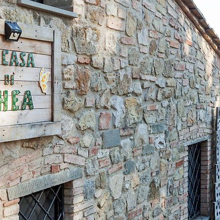 La Casa Di Thea - Flo Apartments 因普鲁内塔 外观 照片